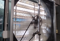 QUẠT HÚT BÌNH DƯƠNG | QUẠT GIÓ MIỀN TÂY  QUẠT HÚT BÌNH DƯƠNG | QUẠT GIÓ MIỀN TÂY