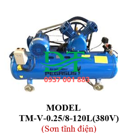 MODEL TM-V-0.25/8-120L(380V)